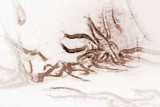 梦见许多动物什么意思，做梦梦见很多动物