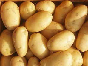 梦见搬运土豆，梦见捡土豆