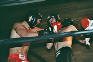 梦见打架完胜是什么意思，昨晚梦到打架,我打赢了好不好的