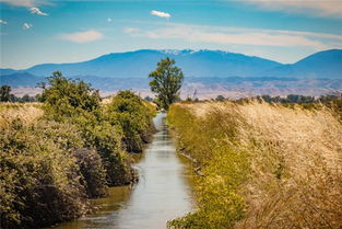 梦见跨过沟,梦见跨沟是什么原因