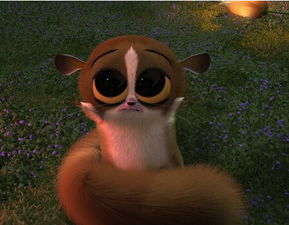 梦见被小鸟追，梦到被鸟追杀