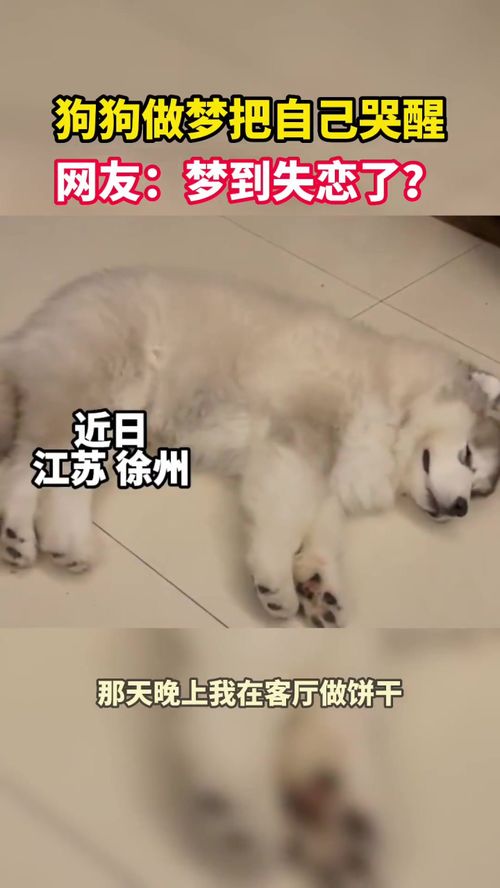 梦见失恋了哭得很厉害，梦见失恋了哭的伤心