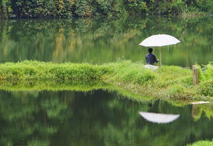 梦见坐在河边是什么意思，梦见坐在河边钓鱼