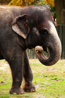 梦见朋友叫我还钱买彩票，梦见被熟人催还钱预示什么