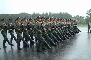 梦见当兵的抓人意思，我梦见当兵