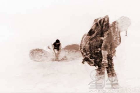 梦见别人在大风中艰难行走，梦见别人被大风吹