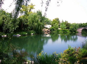 梦见堰塘水满了往外溢，梦见堰塘涨水好不好