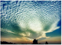 梦见在地底下行走，梦见地里走什么意思