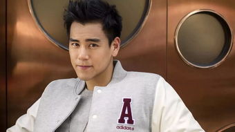 梦见彭于晏要跟我谈对象，梦见彭于晏追我