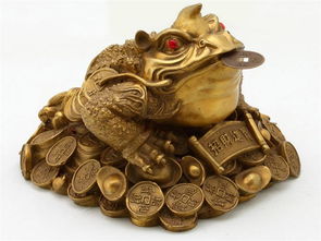 梦见金蝉脱壳是什么征兆，梦见金蟾吐珠