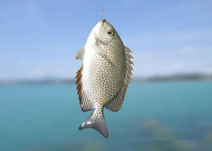 梦到自己钓了很多鱼、然后还有大鱼，梦到自己钓了很多鱼和龙虾还有螃蟹