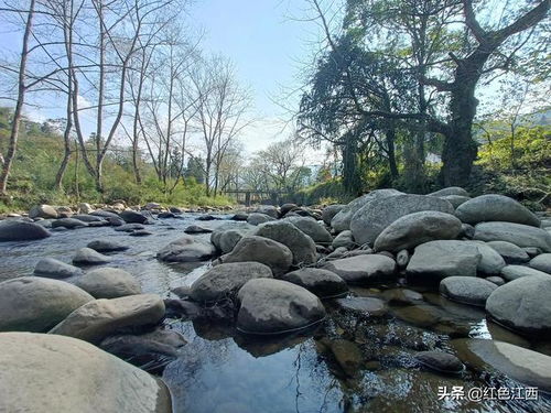 梦到用石头堵住了水流，梦见石头河流