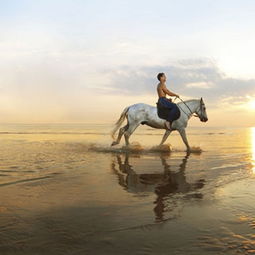 梦见开车坐船过河，梦见汽车坐船过河