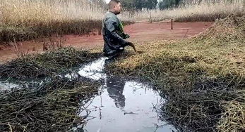 梦到在臭水沟里抓鱼，梦见自己在臭水沟里捞东西