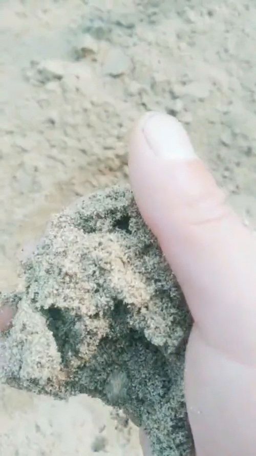 梦见挖粪堆，梦到挖粪土